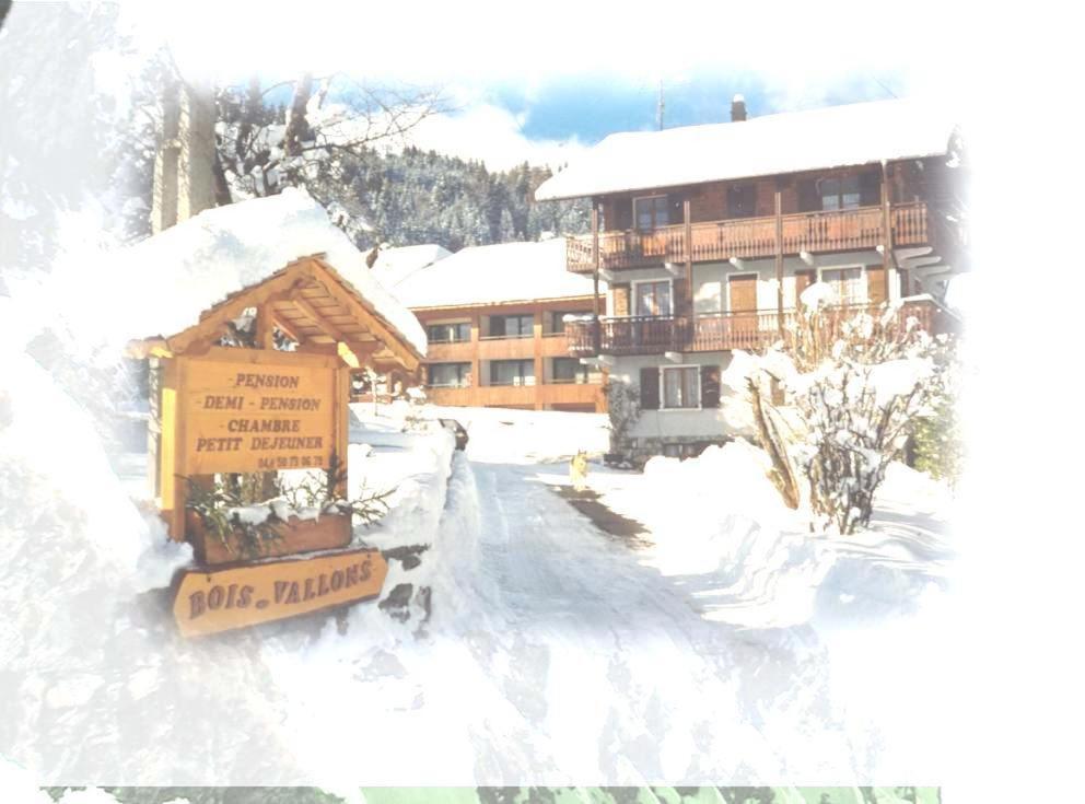 Chalet Bois Vallons Chambres D'Hotes 莫尔济讷 外观 照片